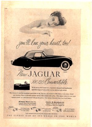 Jaguar 1953 0002