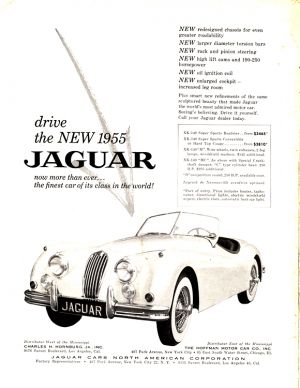 Jaguar 1955 0002